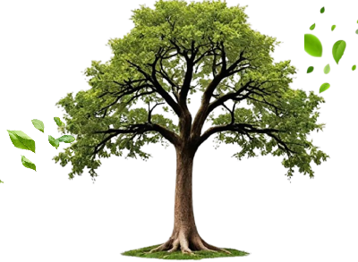 الجودة والابتكار